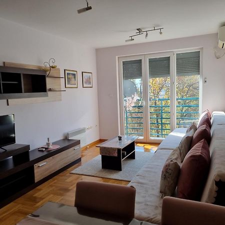 Studio Apartman Zvezdana Noc Врнячка-Баня Экстерьер фото